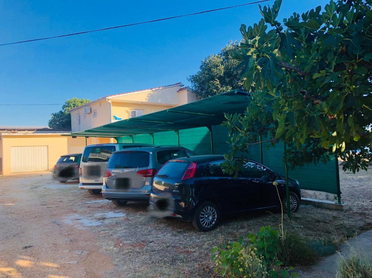 Apartmani Veronika Sukošan Dış mekan fotoğraf